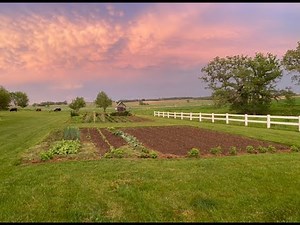 How We Use Grass Clippings as a Weed Barrier on our Garden