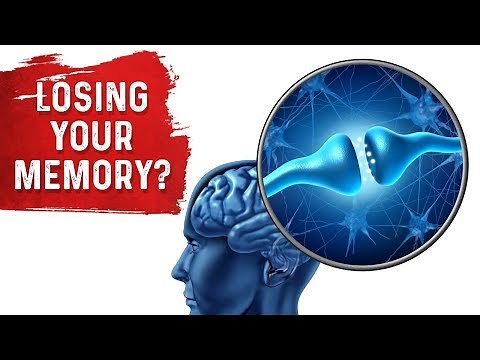 Memory Loss and the Hippocampus – Dr.Berg [MUST WATCH!!]
