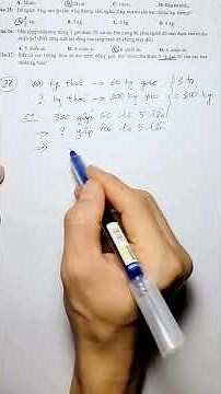 Grade 7 Math - Mid-term Review - Proportionality Exercises #maths #mathteacher