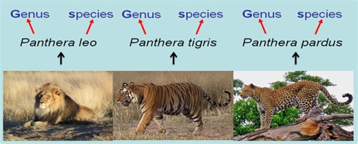 1.2._Classification and diversity of living organisms