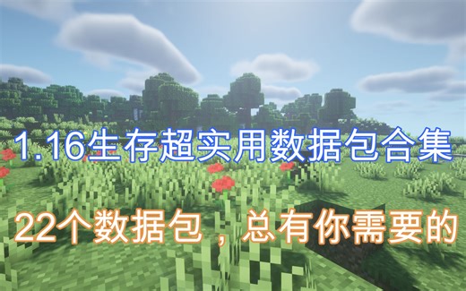 1.16生存超实用的22个数据包