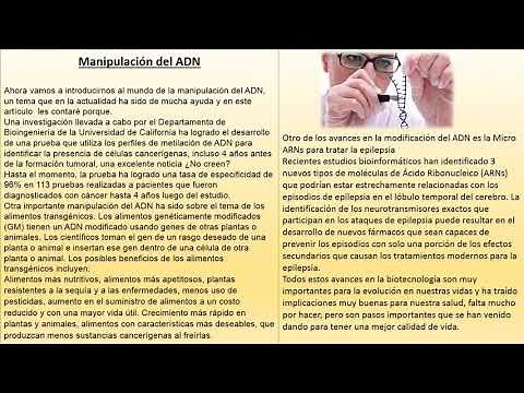 MÓDULO 16 / SEMANA 4 / PROYECTO INTEGRADOR / EVOLUCIÓN Y PRODUCCIÓN