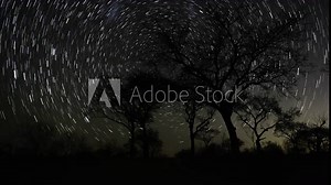 Static timelapse of Marula trees (Sclerocarya birrea) in nature park/reserve South Africa, shadows moving across moonlight landscape, stars (star trails) twisting through night sky. vídeo do Stock