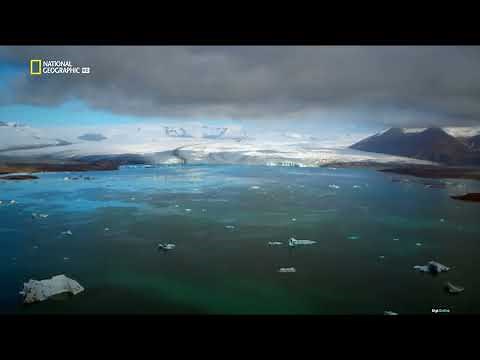 DIGI Online - PC, Laptop, Android