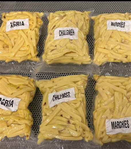 🇧🇪➡️🇷🇴 Belgian premium potatoes delivered today ✅ Customer tested them: cleaned, cut, vacuum packed & fried. RESULT: PASSED 🔥 These are SPECIAL FRYING VARIETIES — not for everyone. Nobody brings this quality here. We do. 🇧🇪➡️🇷🇴 Azi am livrat cartofi premium din Belgia ✅ Clientul i-a testat: curatati, taiati, pusi in vid si prajiti. REZULTAT: AU TRECUT TESTUL 🔥 Soiuri SPECIALE pentru prajire — nu orice cartof. Calitatea asta nu o aduce nimeni. Noi o aducem. #BelgianQuality #PremiumPotat
