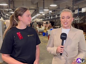 COWSMO ON CUE: World Dairy Expo is all about bringing cow people from across the globe together in one place. This year is the first time young Australian Bridget Liebelt has visited WDE thanks to a scholarship. She’s not just visiting, she’s working hard too, helping Duckett Holsteins. | Cowsmopolitan, Inc.