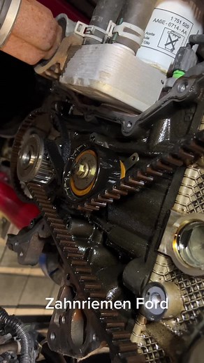 Ford EcoBoost Timing Belt Replacement Guide