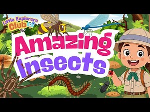 25 Amazing Insects for Kids 🐞 | Fun Bug Facts and Learning Video for Children