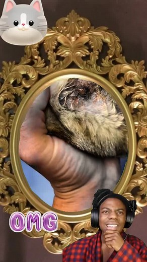 Understanding Dog Parasites: What Pet Owners Need to Know