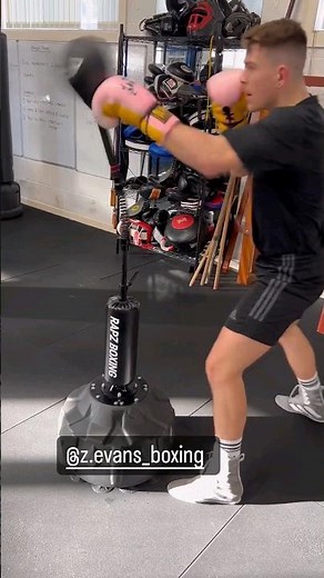 Cobra Reflex Bag 🥊 Boxing Training