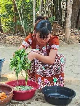 Gathering Sour Marian Plums & Stir-Frying Wild Water Spinach! 🥬 (Relaxing Village Cooking) #cooking