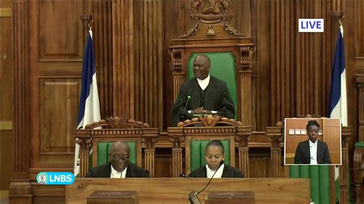 PARLIAMENT PROCEEDINGS: NATIONAL ASSEMBLY 11/11/2025 | LNBS