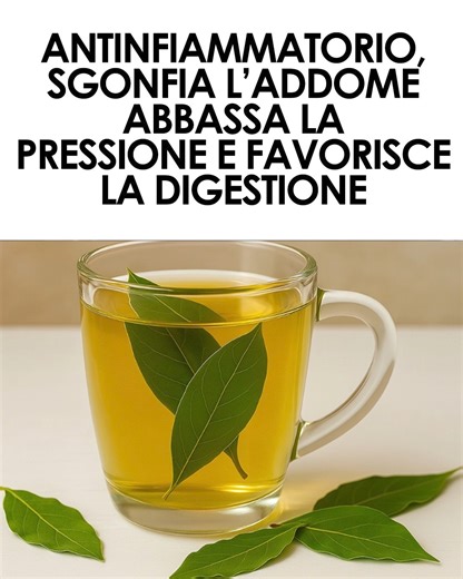 🌿 Ecco come preparare un infuso di alloro utile per regolare glicemia e pressione, migliorare la vista e ridurre i dolori! 👇 Tutti i dettagli nel primo commento 👇 | Ohga