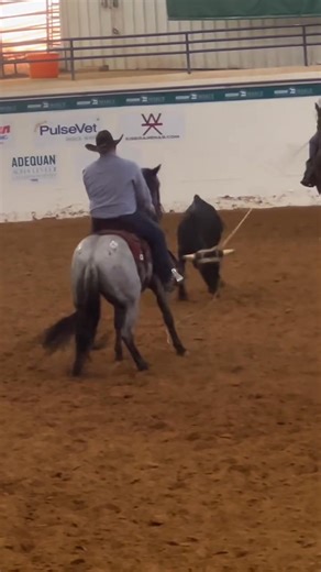 I’m addicted and I just can’t get enough of this horse and Rodey! He sells 10 28 23 While you are there don’t forget to go see our friends at They are setup in barn 8, where they are having the sale! They will have everything you will need! ----------- https://amzn.to/3Lo86my | agnesehorsemanship