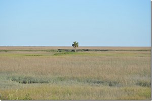 Jekyll Island, Georgia from historic country club to State Park