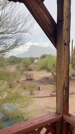 Arizona Desert Wildlife and Nature in 2026