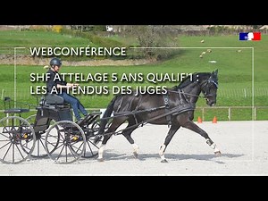 SHF Attelage 5 ans Qualif’1 : préparer son jeune cheval au circuit SHF - Fabrice Martin