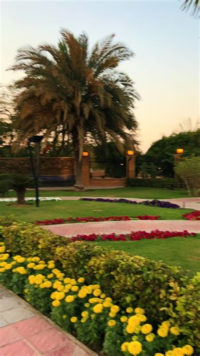 Exploring Nature: Birds and Flowers with My Brother