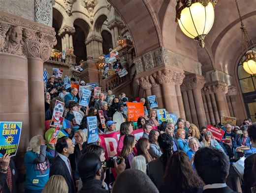 21 arrested Wednesday as hundreds swarmed the capitol to protest Hochul's climate proposals