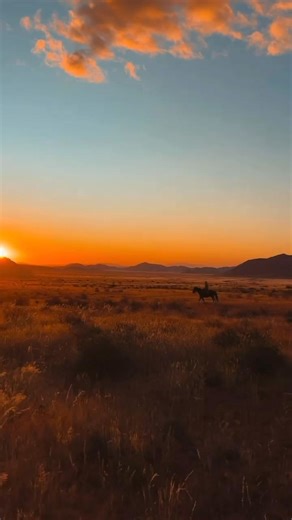 the wilder west #desertlife #africa #ranchlife #namibia | emo goat mom
