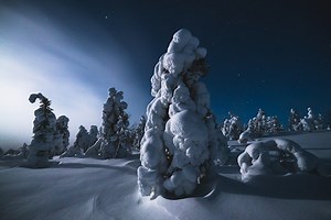 27K views · 1.4K reactions | Winter in Finland is a magical season. Many beliefs and rituals have been borne from the Nordic peoples' attempts to come to terms with this capricious season. When you take note of what you see as well as that which you cannot see and learn to read the signs and follow the course of nature, winter will reward you. Read more: www.visitfinland.com/…/polar-night-magic-a-guide-through-w…/ | I wish I was in Finland | Facebook