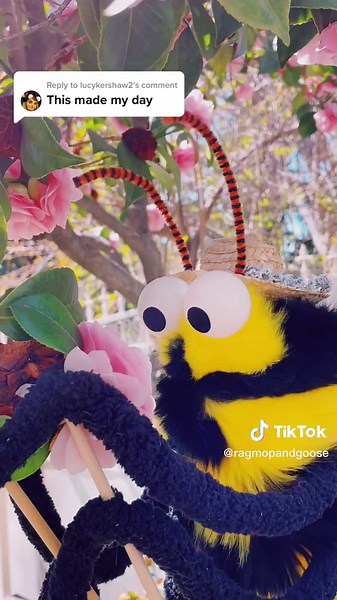 Ragmop & Goose on TikTok