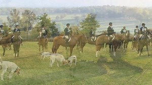 30K views · 1.7K reactions | Hundreds of off-track Thoroughbreds,...