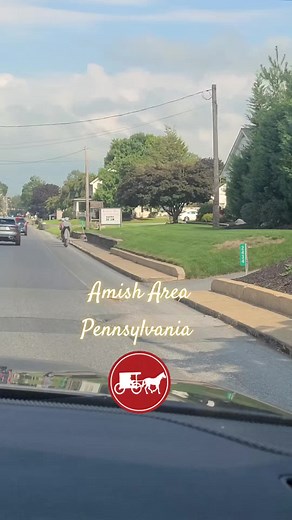 Summer in Pennsylvania, USA. Amish Area...very good🤙👌✨️#Pennsylvania #usa_tiktok #usa🇺🇸 #culture #life #travel #roadtrip #traveltiktok #summer #vacation #viaje #cultura