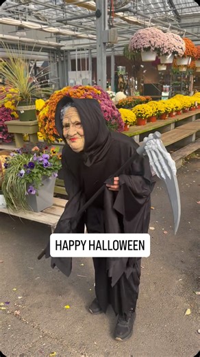 62 reactions · 4 comments | Happy Halloween from the gang at Merrifield Fair Oaks! What are you being this year? #merrifieldgardencenter #halloweencostume #spookyszn #garden #gardening #shoplocal | Merrifield Garden Center | Facebook