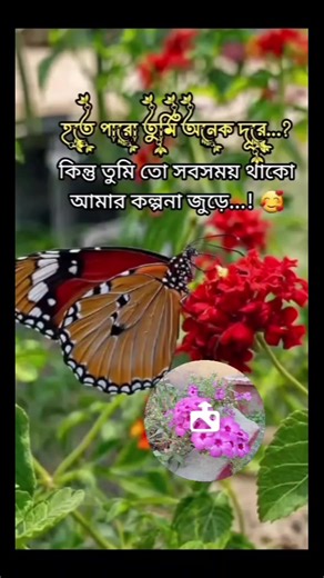 online tech bd.com (@onlinetechbd.com)’s videos with original sound - online tech bd.com