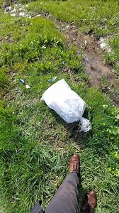 632K views · 6.5K reactions | Oameni fără suflet, priviți ce au aruncat sub pod! Cei mai buni prieteni ai omului lăsați de izbeliște! | Ciprian Gavrilita | Facebook