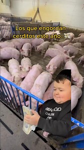 692K views · 12K reactions | Así andan los Porcicultores de USA #cerdos #porcicultura #eduardofarms #rancho #campo | EduardoFarms | Facebook