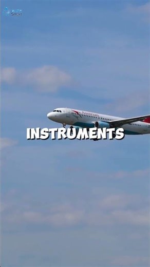 How Pilots See in Total Darkness #airplane #aviation #shorts