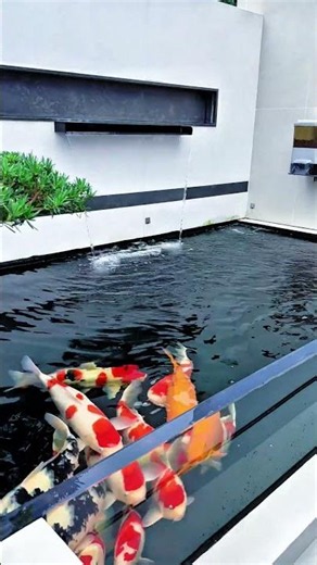 🏡🐟 Luxury Home Swimming Pool with Beautiful Fish | Stunning Outdoor Decoration Ideas