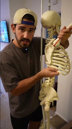 Serratus anterior - the complete guide