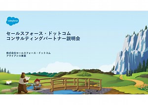 JP Salesforce Consulting Partner Program