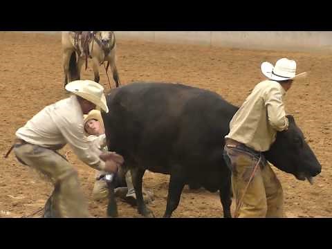 Wild Cow Milking - 2019 (32nd) Coors Cowboy Club Ranch Rodeo (Friday)