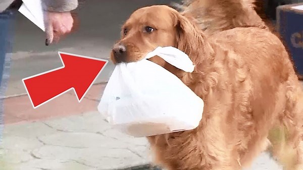 Woman Helps Her Neighbor In Quarantine Using The Last Method People Suspected