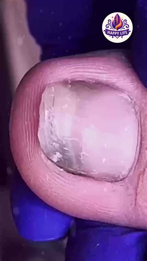 1.7K views · 15 reactions | Ep.13 Heart-friendly fats with wellness plans bring clear mornings #CardioNutrition #WellnessPlan #SteadyClarity | Health - Wellness | Facebook