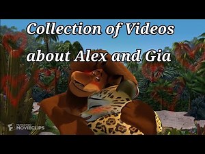 Collection of Videos about Alex and Gia 🦁💖🐆