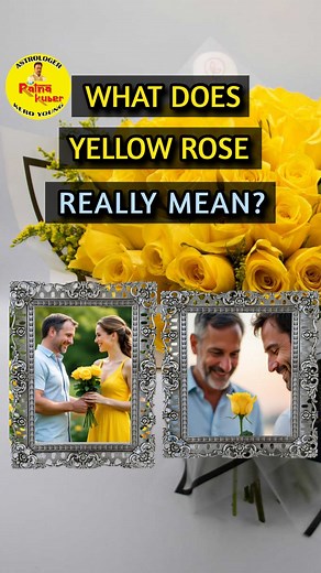 13K views · 362 reactions | Yellow Rose Guide: When to Give & What It...