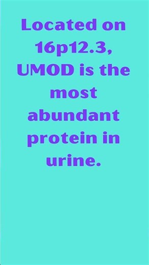 UMOD Uromodulin