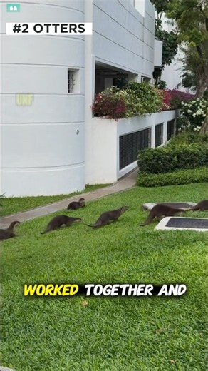 These Animals Actually ESCAPED the Zoo 😳
