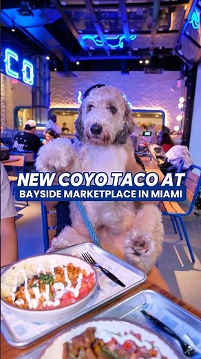 New Coyo Taco in Miami #foodie #miami