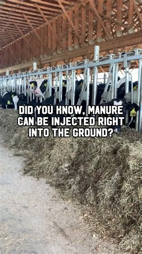 Fertilizer… but make it sustainable. 🌱💩 Manure from dairy cows is an incredibly valuable and nutrient-rich resource that farmers utilize to the fullest! Ever heard of manure injectors? Instead of spreading manure on top of the soil, these machines inject it directly into the ground. That means fewer odors, less nutrient loss, and better protection for nearby waterways! It’s beneficial for the soil, the environment, and the surrounding community! #NewYork #Dairy #Farming #FarmerAppreciation #Da