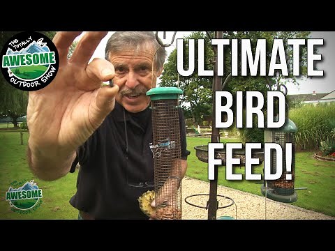 How to attract wild birds to your garden | TA Outdoors