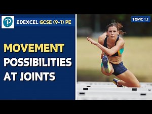 Edexcel GCSE PE - Movements at Joints - The Musculo-Skeletal System (1.1)