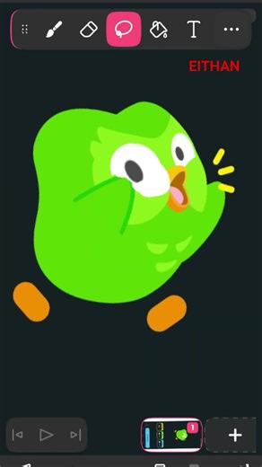 editando una imagen de Duolingo