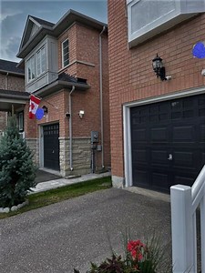 How to deal with the flood flashlight harassment from neighbor? - RedFlagDeals.com Forums