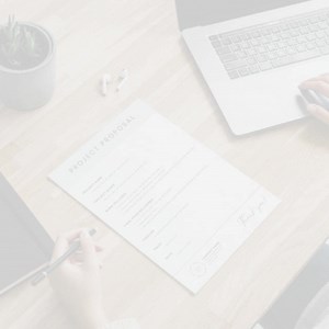 Minimal Proposal Template | Professional Simple Work Bid | Client Brief | Business Project | Basic Design | Project Plan | Canva | Blush - Etsy